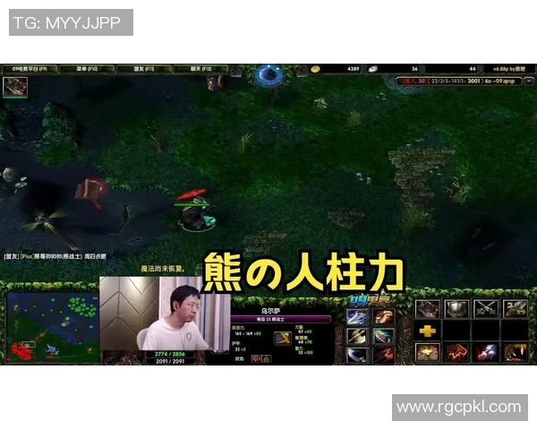 刀塔2拍拍熊比赛视频-刀塔2拍拍熊争霸赛场—比赛视频之下的精湛操作艺术展示-刀塔2拍拍熊比赛视频